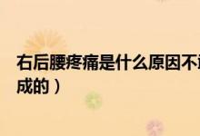 右后腰疼痛是什么原因不敢彎曲（右后腰疼痛是什么原因造成的）