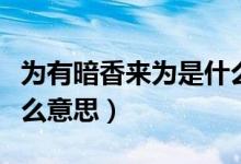 為有暗香來為是什么意思（為有暗香來為是什么意思）