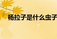 楊拉子是什么蟲子（楊拉罐是什么蟲子）