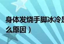 身體發(fā)燒手腳冰冷是什么原因（身體冰冷是什么原因）