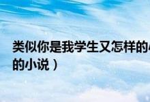 類似你是我學(xué)生又怎樣的小說寵文（類似你是我學(xué)生又怎樣的小說）