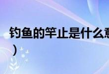 釣魚(yú)的竿止是什么意思（釣魚(yú)用的竿止是什么）