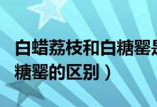 白蠟荔枝和白糖罌是一樣的嗎（白蠟荔枝和白糖罌的區(qū)別）