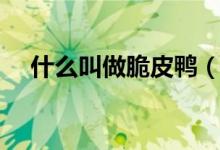 什么叫做脆皮鴨（什么叫做脆皮鴨文學(xué)）