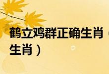 鶴立雞群正確生肖（鶴立雞群高出一等是什么生肖）