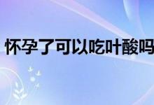 懷孕了可以吃葉酸嗎（懷孕了可以吃柿子嗎）