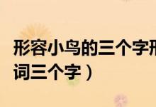形容小鳥的三個字形容詞（什么的小鳥填形容詞三個字）