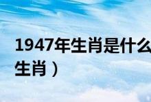 1947年生肖是什么生肖（出生1947年是什么生肖）