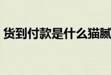 貨到付款是什么貓膩（貨到付款是什么流程）