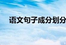 語(yǔ)文句子成分劃分詳解（語(yǔ)文句子成分）