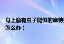 身上像有蟲子爬似的癢特別是晚上（身上像有蟲子爬似的癢怎么辦）
