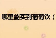哪里能買到葡萄飲（哪里能買到葡萄糖內(nèi)脂）