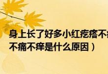 身上長了好多小紅疙瘩不痛不癢怎么回事（身上長小紅疙瘩不痛不癢是什么原因）