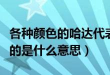 各種顏色的哈達(dá)代表什么意思（哈達(dá)顏色代表的是什么意思）
