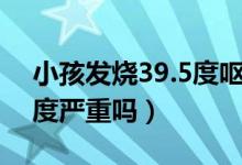 小孩發(fā)燒39.5度嘔吐怎么辦（小孩發(fā)燒39.5度嚴(yán)重嗎）