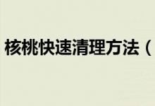 核桃快速清理方法（桃核深度清理怎么處理）