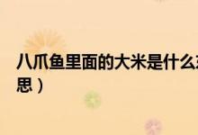 八爪魚里面的大米是什么東西（八爪魚里面的大米是什么意思）