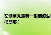 左側(cè)睪丸連著一根筋疼站著疼躺著不太疼（左側(cè)睪丸連著一根筋疼）