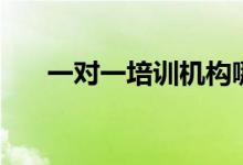 一對一培訓(xùn)機(jī)構(gòu)哪個(gè)好（有哪些選擇）