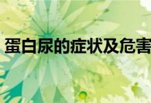 蛋白尿的癥狀及危害（蛋白尿的癥狀及危害）