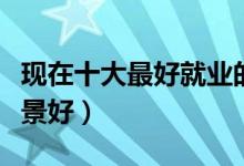 現(xiàn)在十大最好就業(yè)的專業(yè)是什么（哪些專業(yè)前景好）