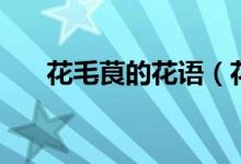 花毛茛的花語（花毛茛的花語是什么）