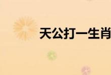 天公打一生肖（天公打一成語）