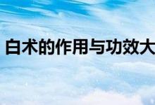 白術(shù)的作用與功效大全（白術(shù)的作用與功效）