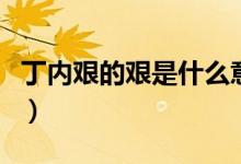 丁內(nèi)艱的艱是什么意思（丁內(nèi)外艱是什么意思）