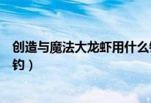 創(chuàng)造與魔法大龍蝦用什么釣餌釣（創(chuàng)造與魔法大龍蝦用什么釣）