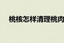 桃核怎樣清理桃肉（桃核怎樣清理干凈）