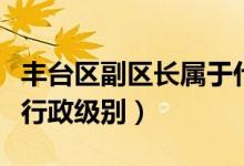 豐臺(tái)區(qū)副區(qū)長屬于什么級(jí)別（豐臺(tái)區(qū)區(qū)長什么行政級(jí)別）
