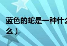 藍色的蛇是一種什么蛇（一種藍色的蛇叫做什么）