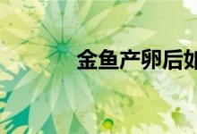 金魚產(chǎn)卵后如何孵化出小金魚
