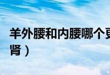 羊外腰和內(nèi)腰哪個(gè)更補(bǔ)（羊外腰和內(nèi)腰哪個(gè)補(bǔ)腎）