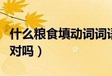 什么糧食填動詞詞語（什么糧食填動詞吃糧食對嗎）
