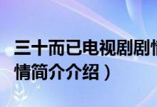 三十而已電視劇劇情介紹（三十而已電視劇劇情簡(jiǎn)介介紹）