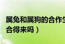 屬兔和屬狗的合作生意好不好（屬兔和屬狗的合得來(lái)嗎）