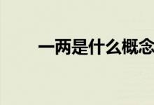一兩是什么概念（一兩是什么概念）