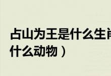 占山為王是什么生肖動(dòng)物（占山為王的動(dòng)物是什么動(dòng)物）