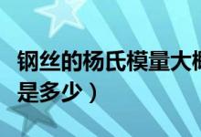 鋼絲的楊氏模量大概是（鋼絲的楊氏模量大概是多少）