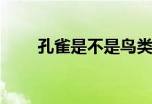 孔雀是不是鳥(niǎo)類（孔雀是不是鳥(niǎo)類）
