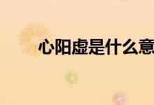 心陽虛是什么意思（心陽虛是什么）