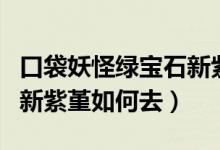 口袋妖怪綠寶石新紫堇地圖（口袋妖怪綠寶石新紫堇如何去）