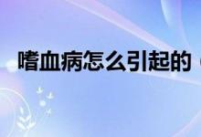 嗜血病怎么引起的（嗜血癥是得了什么?。?class=
