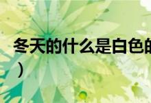 冬天的什么是白色的仿寫（冬天的什么填詞語）
