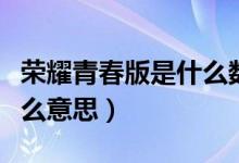 榮耀青春版是什么數(shù)據(jù)接口（榮耀青春版是什么意思）