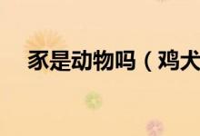 豕是動物嗎（雞犬豕這個(gè)豕是什么動物）
