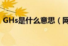 GHs是什么意思（網上說的ghs是什么意思）
