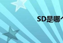SD是哪個(gè)軍區(qū)的車牌